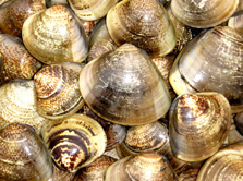 �S�ӿ��ĸ�