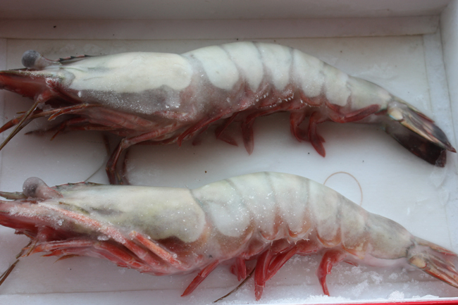 ��(du��)�r